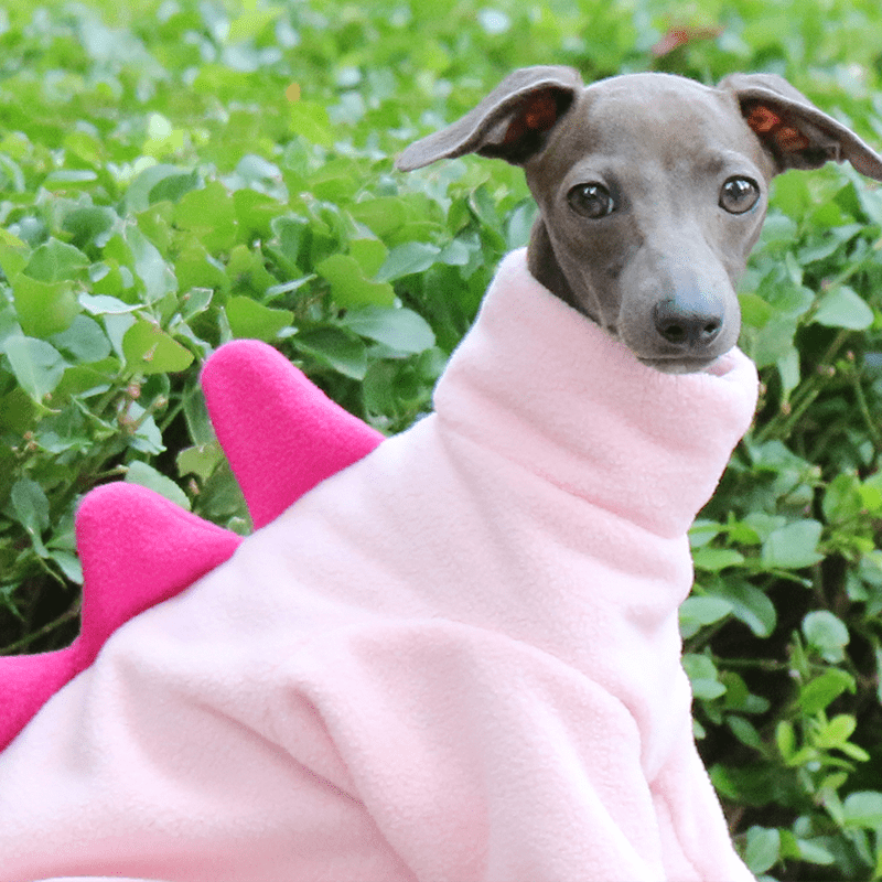 Winter Fleece Italian Greyhound Dog Onesies