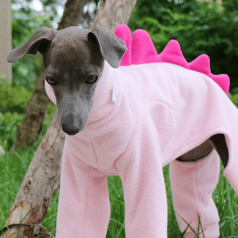 Winter Fleece Italian Greyhound Dog Onesies