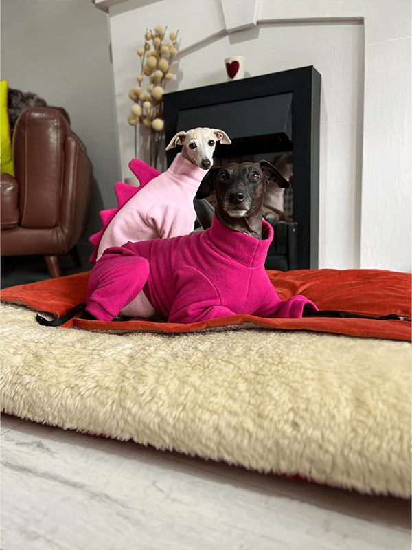 Warm Fleece Italian Greyhound Dinosaur Onesie