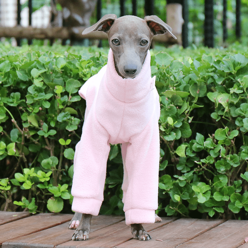 Warm Fleece Italian Greyhound Dinosaur Onesie