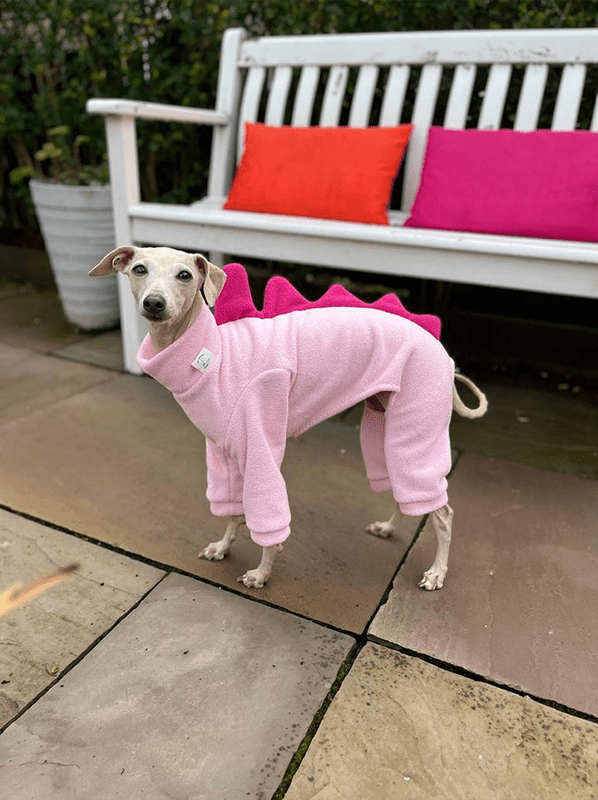 Warm Fleece Italian Greyhound Dinosaur Onesie