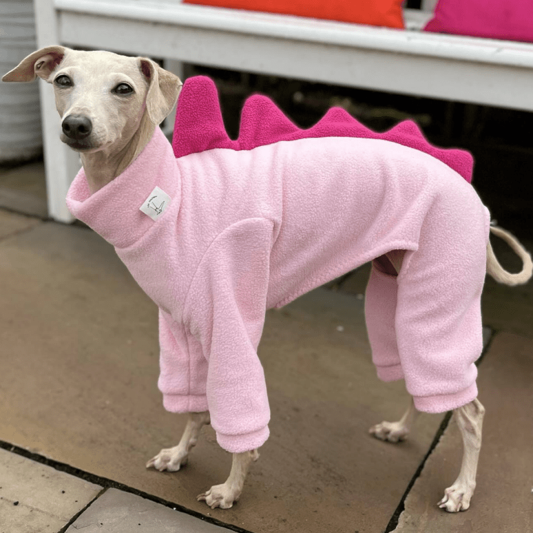 Winter Fleece Italian Greyhound Dog Onesies