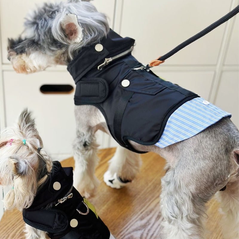 Waterproof Small Dog Harness Coat