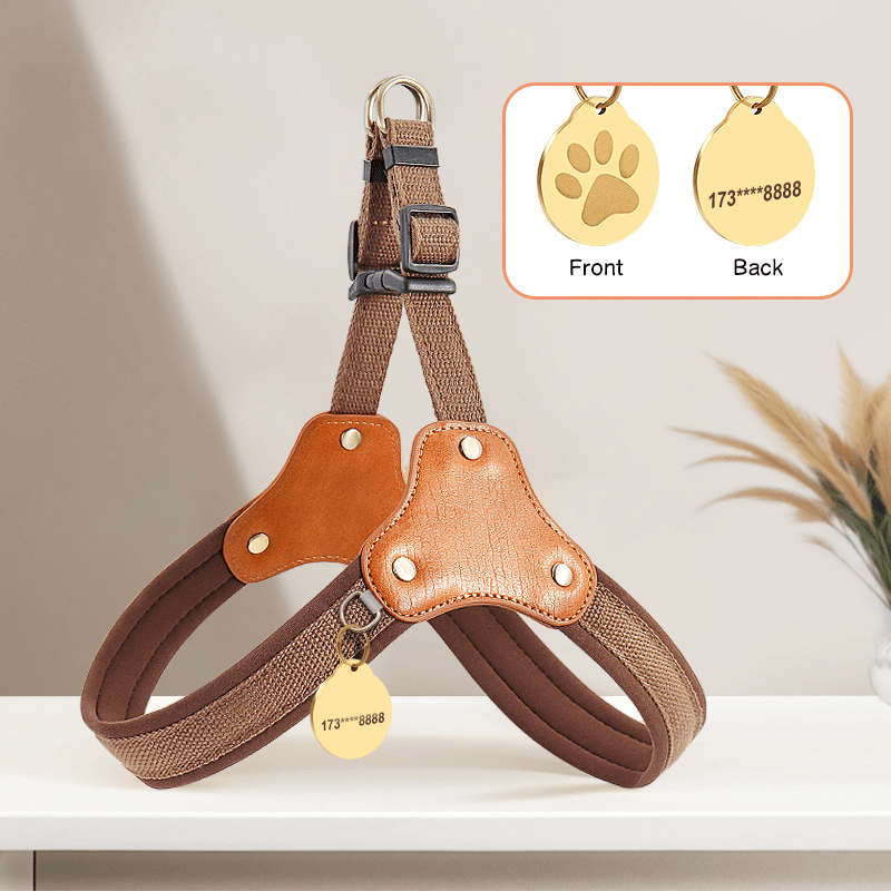 Personalized No Pull Big Dog Harness