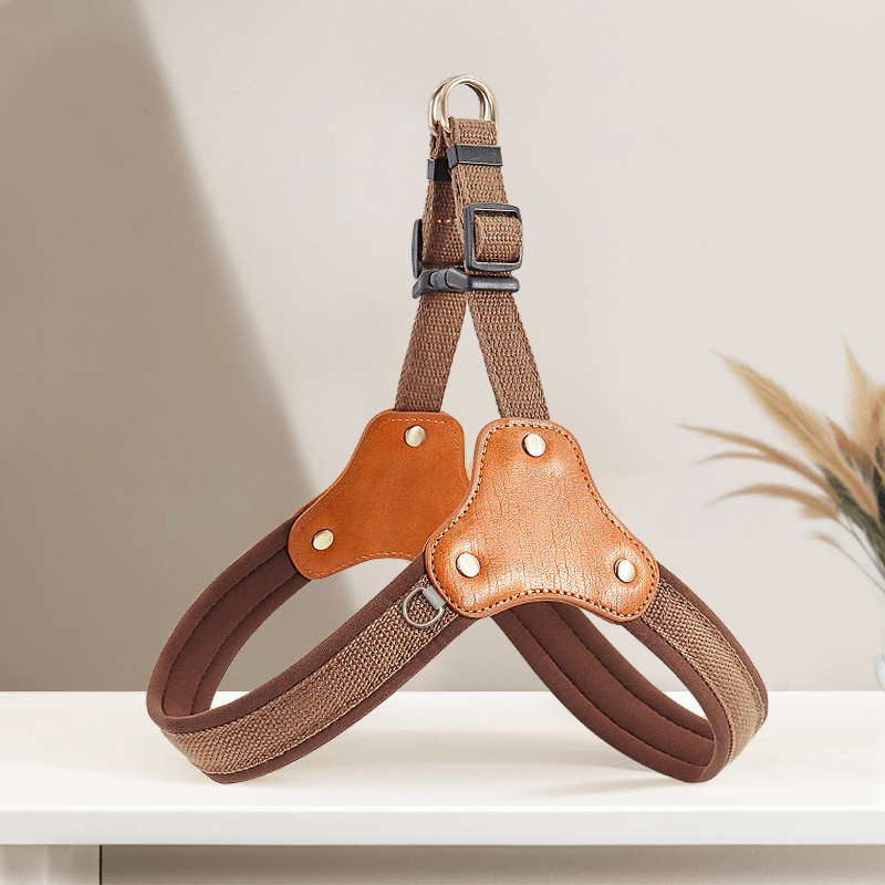 Personalized No Pull Big Dog Harness