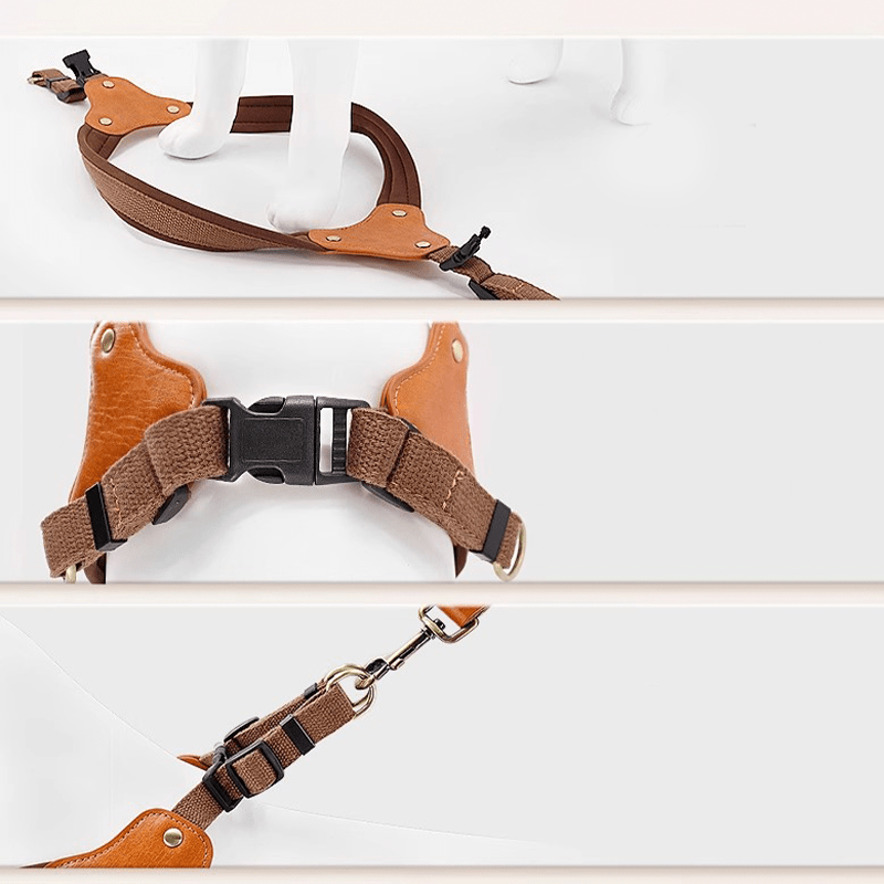 Personalized No Pull Big Dog Harness