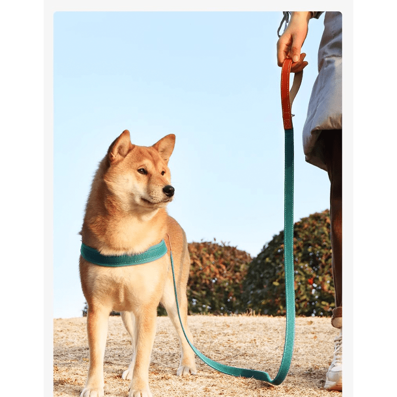 Personalized No Pull Big Dog Harness