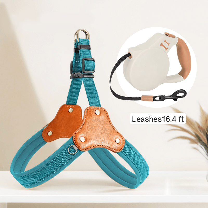 Personalized No Pull Big Dog Harness