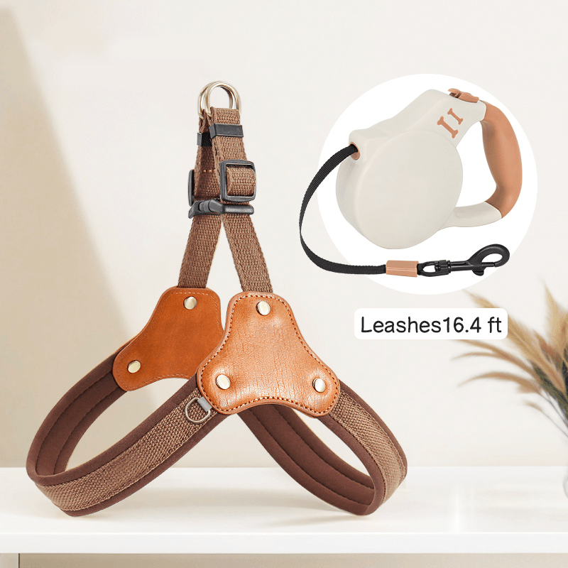 Personalized No Pull Big Dog Harness