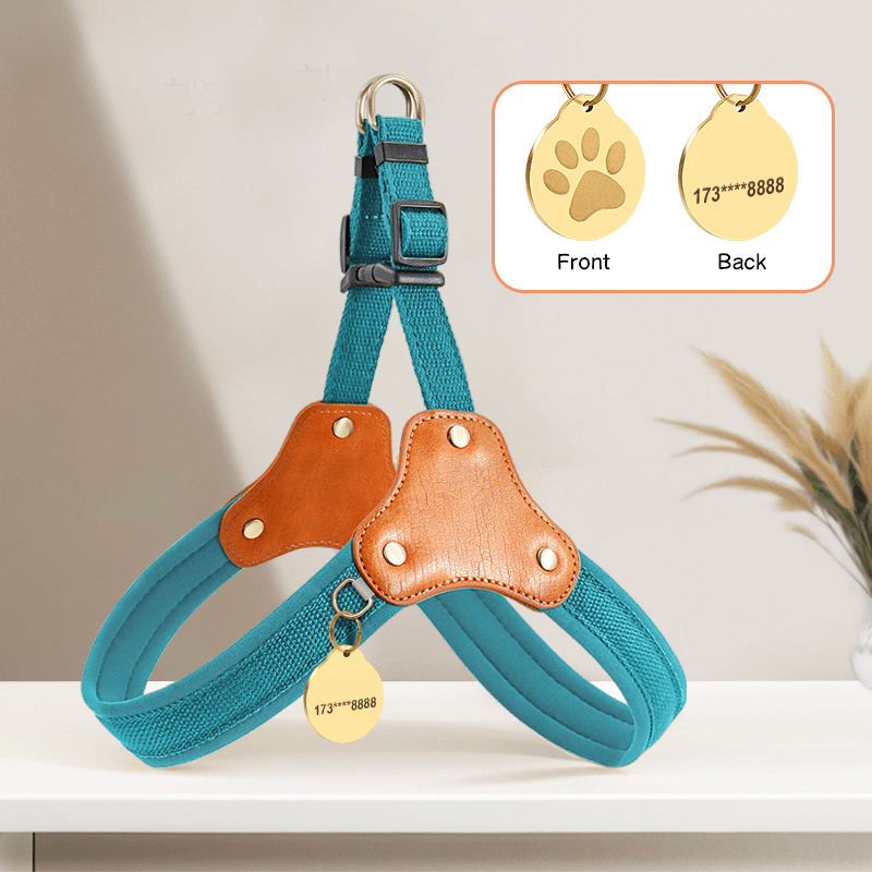 Personalized No Pull Big Dog Harness