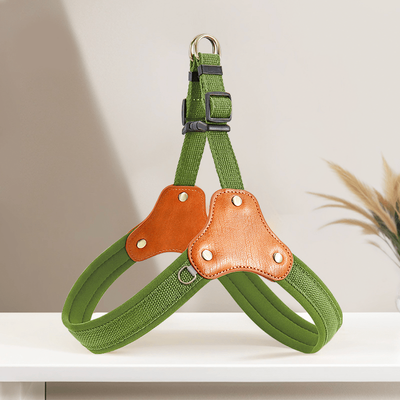 Personalized No Pull Big Dog Harness