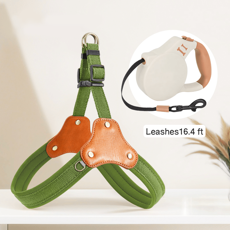 Personalized No Pull Big Dog Harness