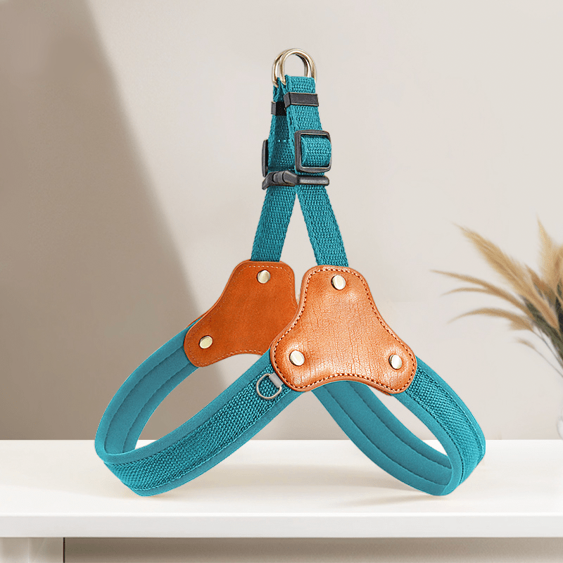 Personalized No Pull Big Dog Harness