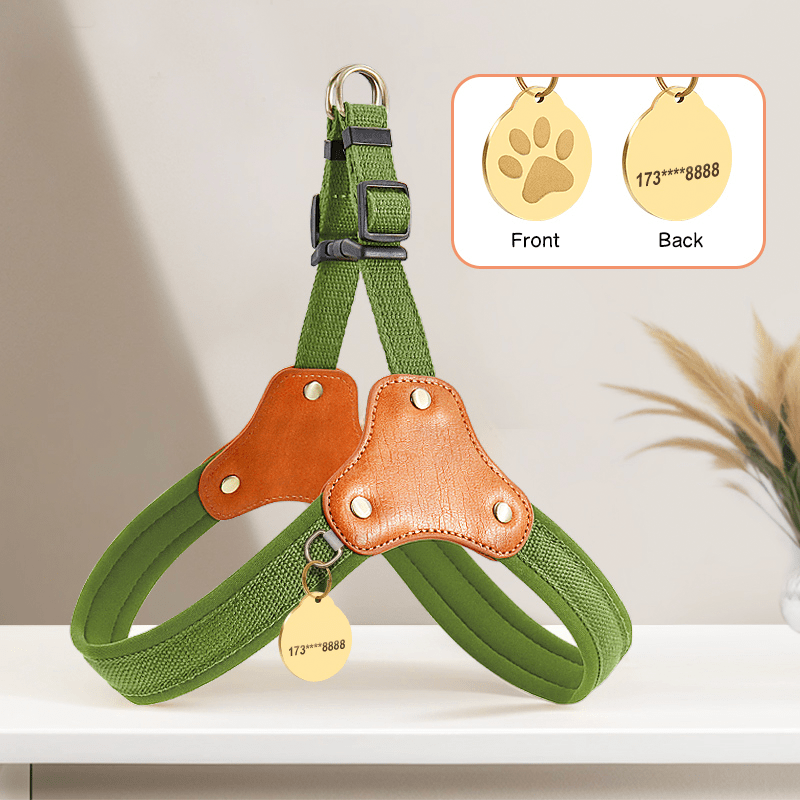 Personalized No Pull Big Dog Harness