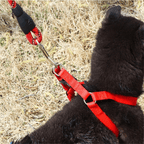 Comfortable French Bulldog Dog Harness