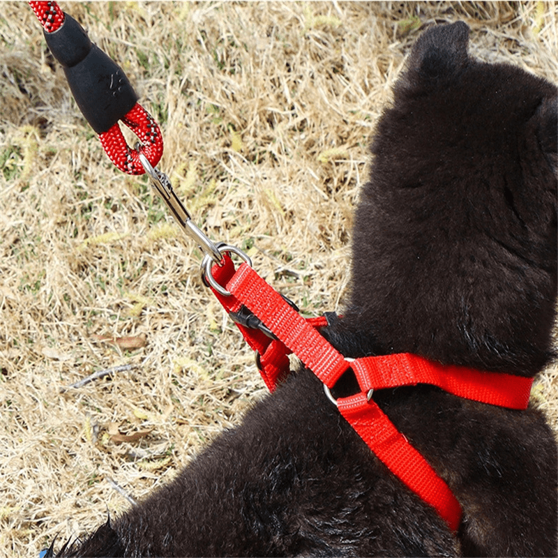 Comfortable French Bulldog Dog Harness