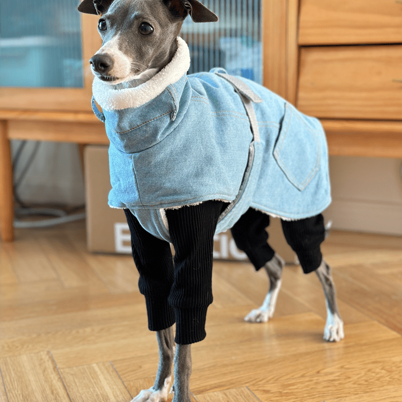 Warm Fleece Italian Greyhound Dog Coat