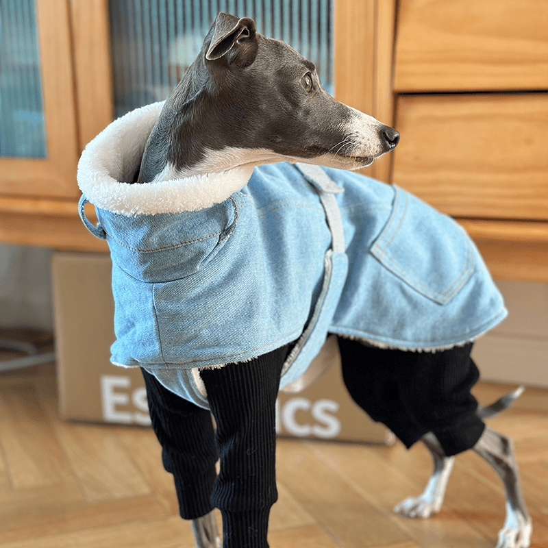 Warm Fleece Italian Greyhound Dog Coat