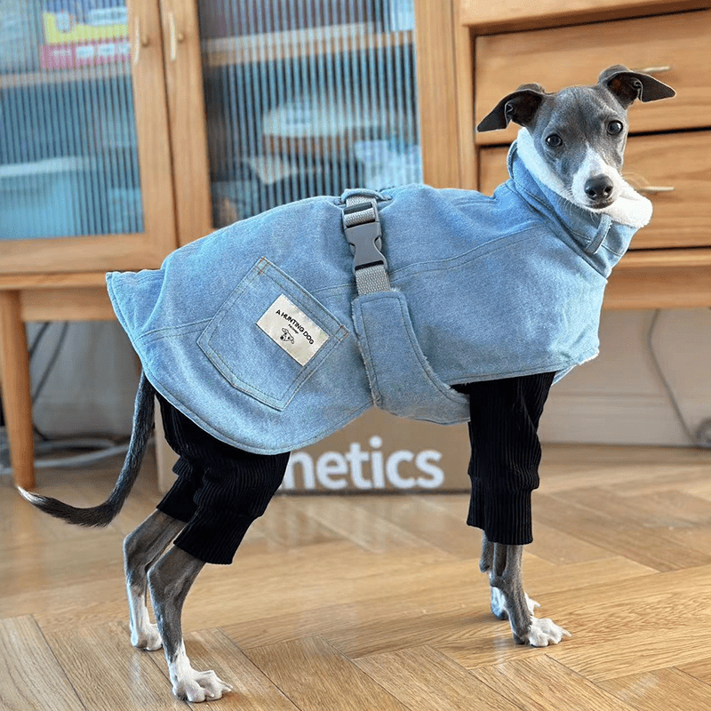 Warm Fleece Italian Greyhound Dog Coat