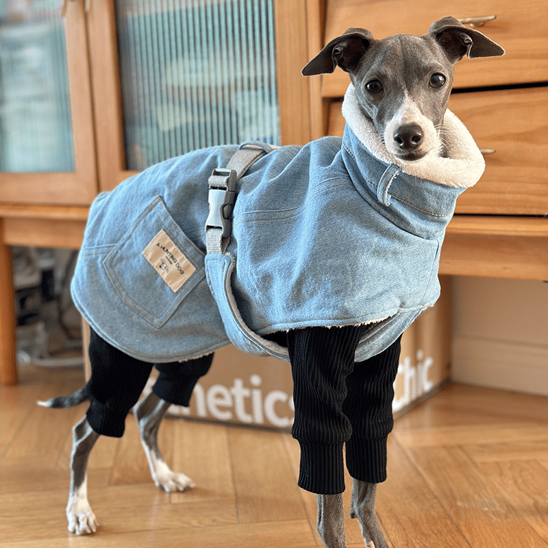 Warm Fleece Italian Greyhound Dog Coat