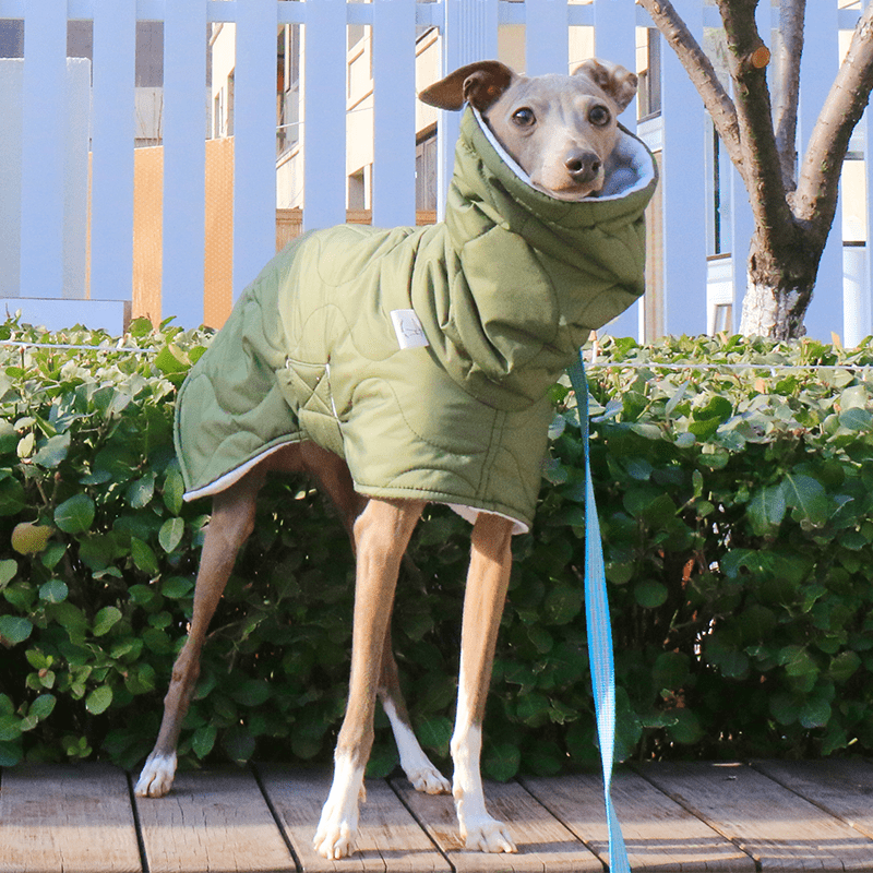Warm Belly Protective Italian Greyhound Jacket