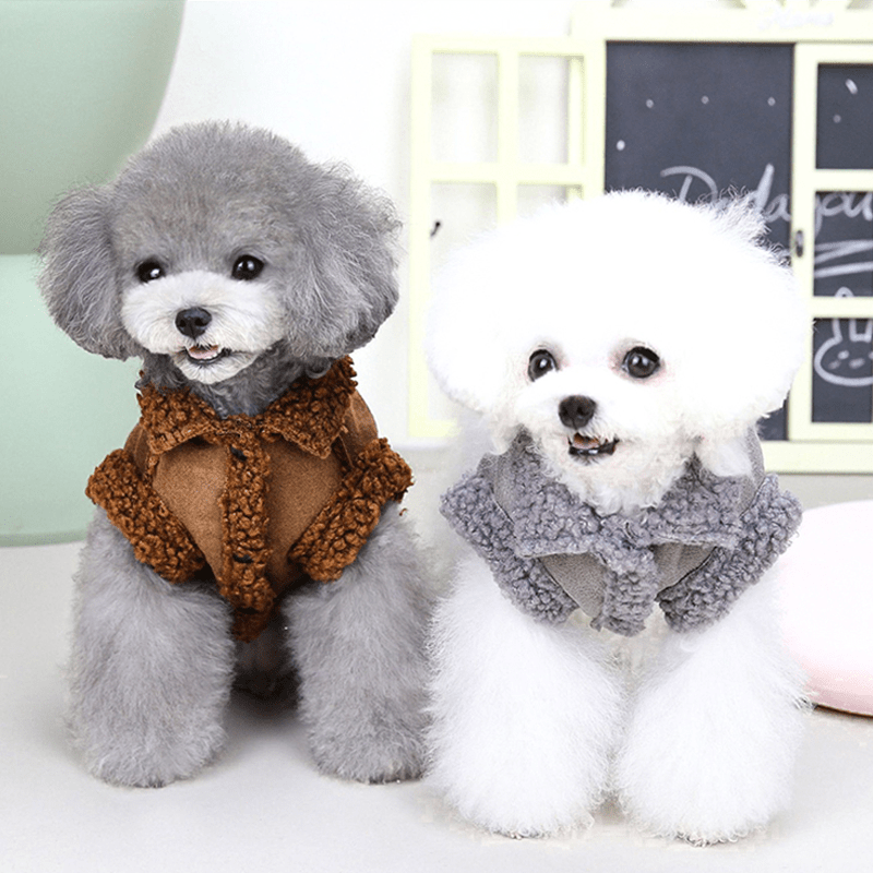 Winter Warm Small Dog Jacket