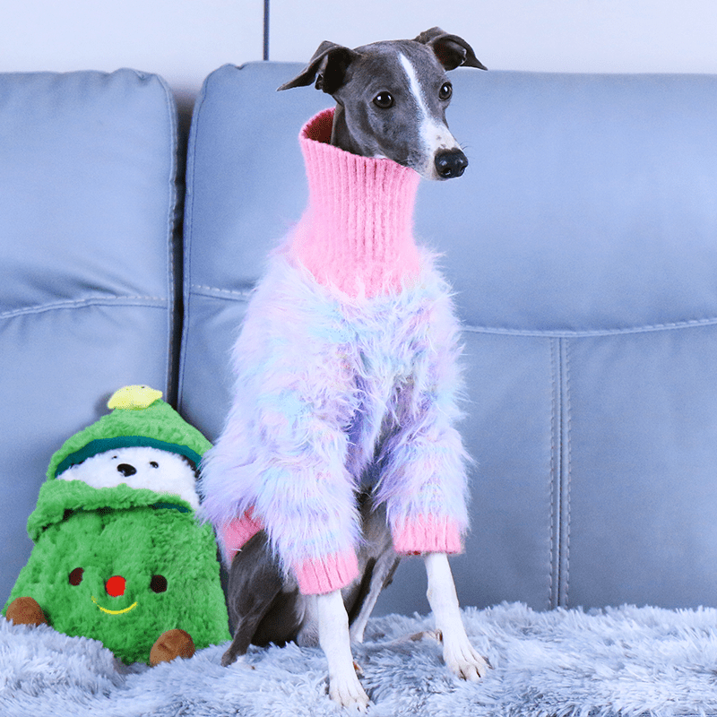 Luxurious Knit Plush Sweater Italian Greyhound Dog Clothes