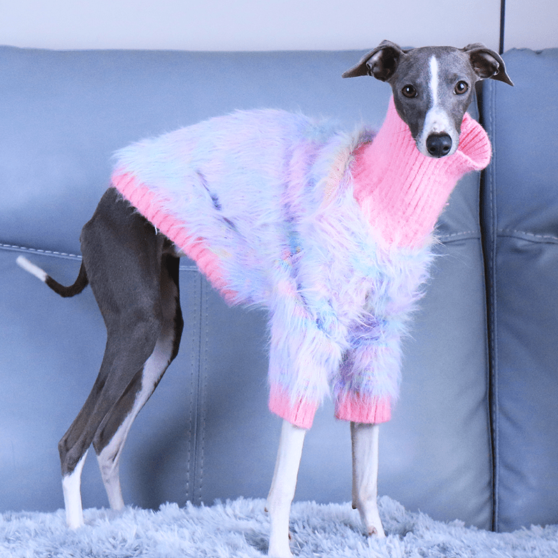 Luxurious Knit Plush Sweater Italian Greyhound Dog Clothes