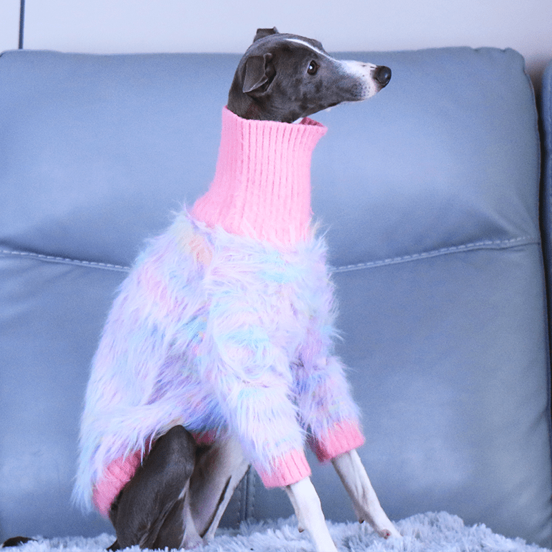 Luxurious Knit Plush Sweater Italian Greyhound Dog Clothes