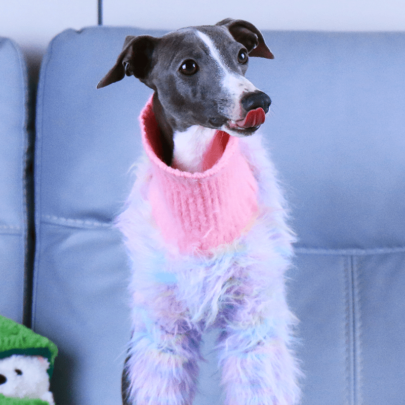 Luxurious Knit Plush Sweater Italian Greyhound Dog Clothes