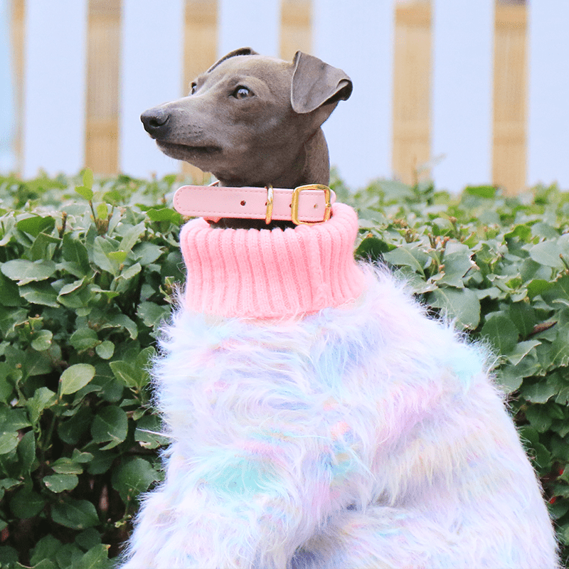 Luxurious Knit Plush Sweater Italian Greyhound Dog Clothes