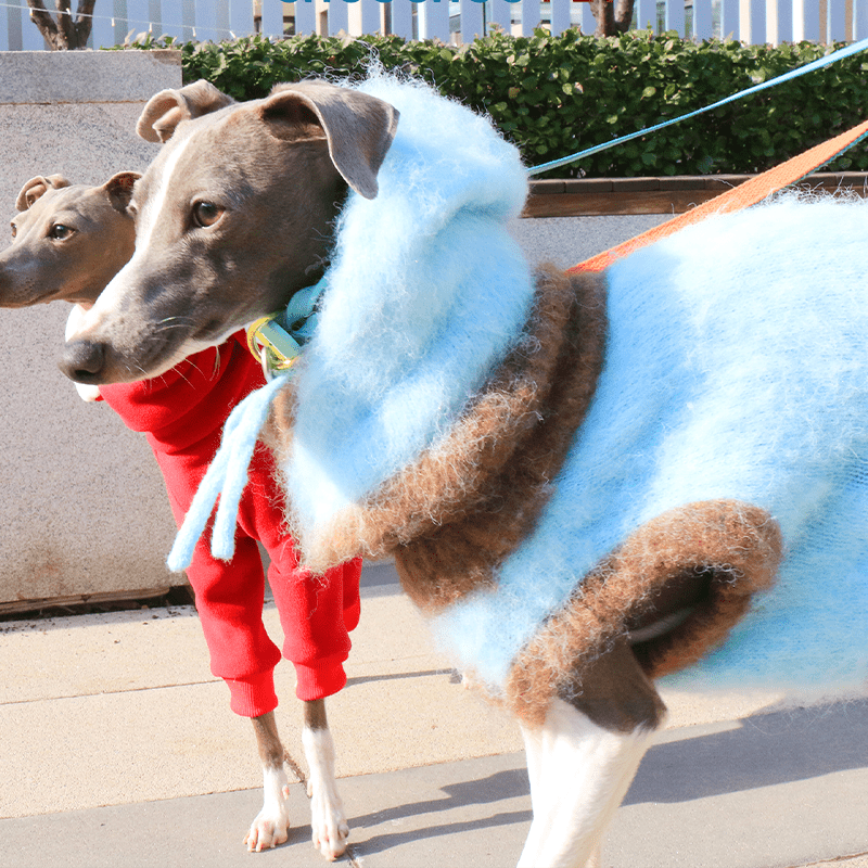 Warm Knit Plush Italian Greyhound Sweater
