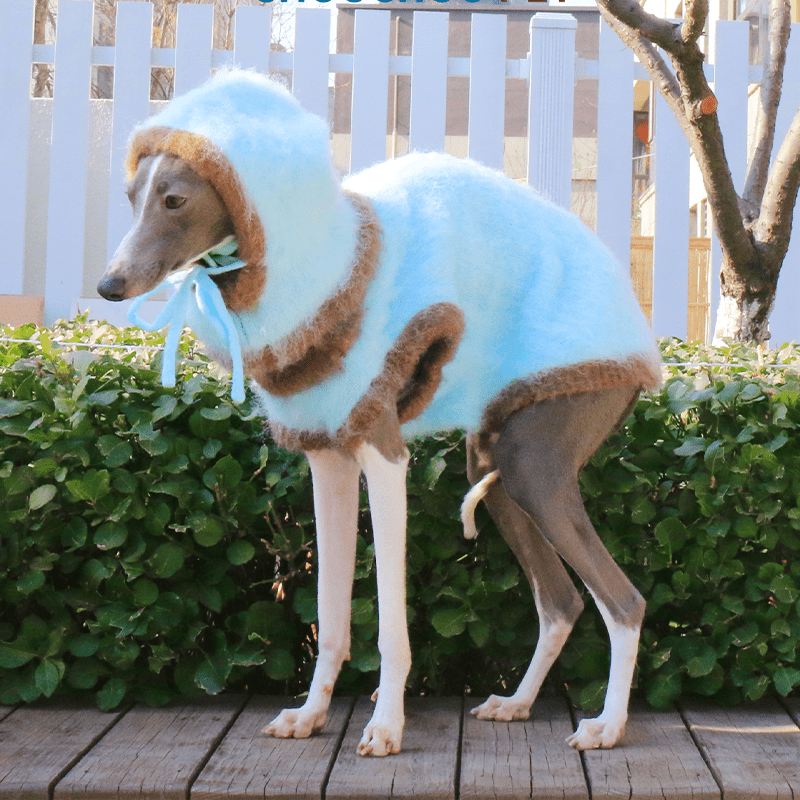 Warm Knit Plush Italian Greyhound Sweater