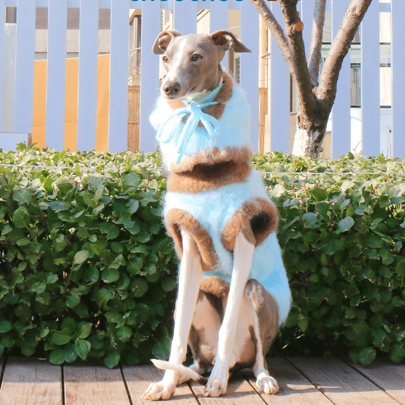 Warm Knit Plush Italian Greyhound Sweater