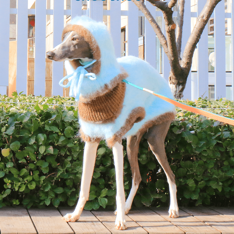 Warm Knit Plush Italian Greyhound Sweater