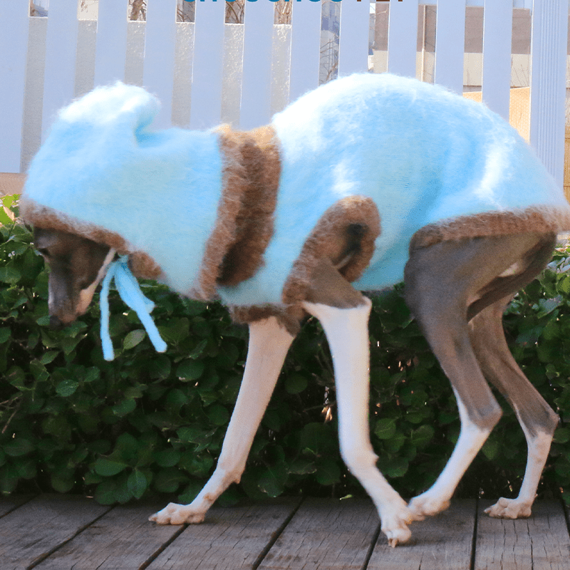 Warm Knit Plush Italian Greyhound Sweater