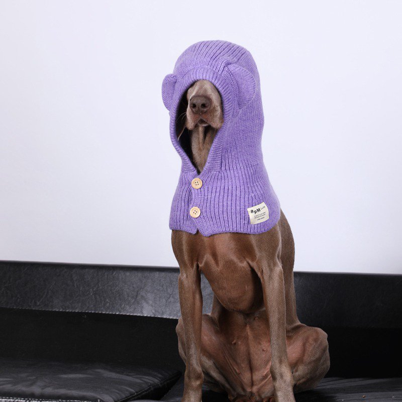 Winter Knitted Dog Collar Ear Warm Hat