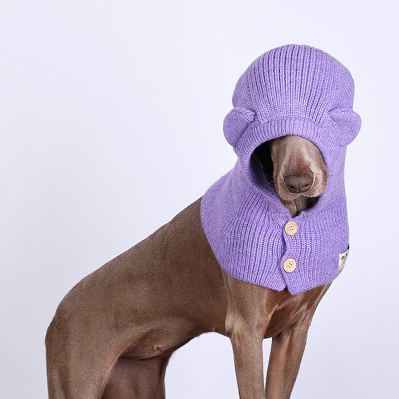 Winter Knitted Dog Collar Ear Warm Hat