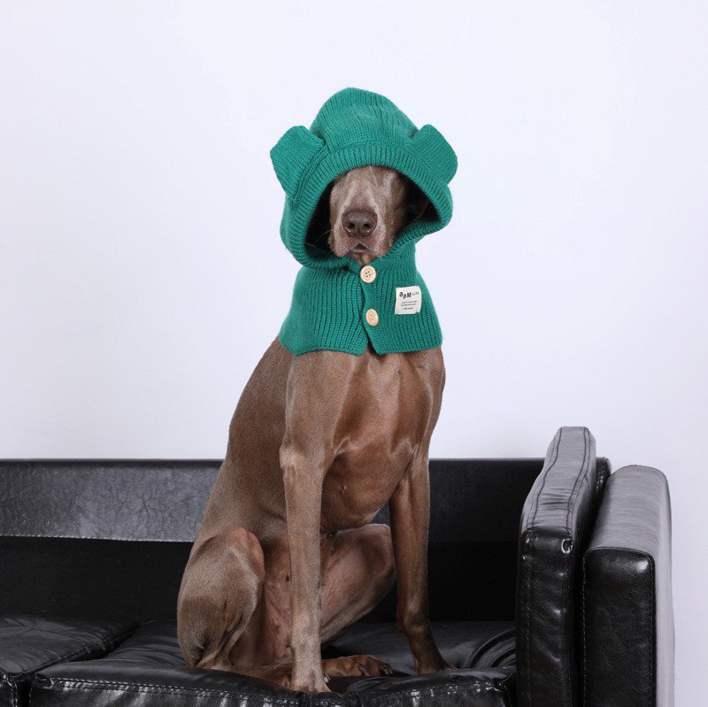 Winter Knitted Dog Collar Ear Warm Hat