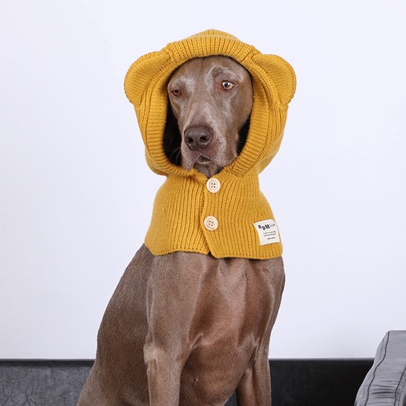 Winter Knitted Dog Collar Ear Warm Hat