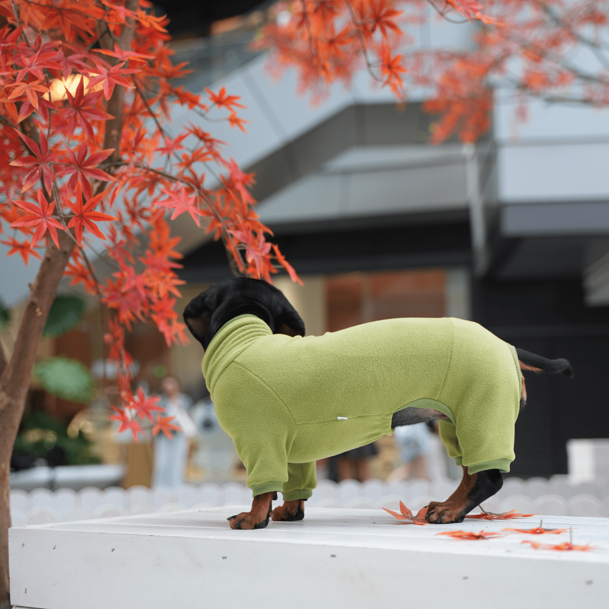 Warm Fleece Dachshund Dog Onesies