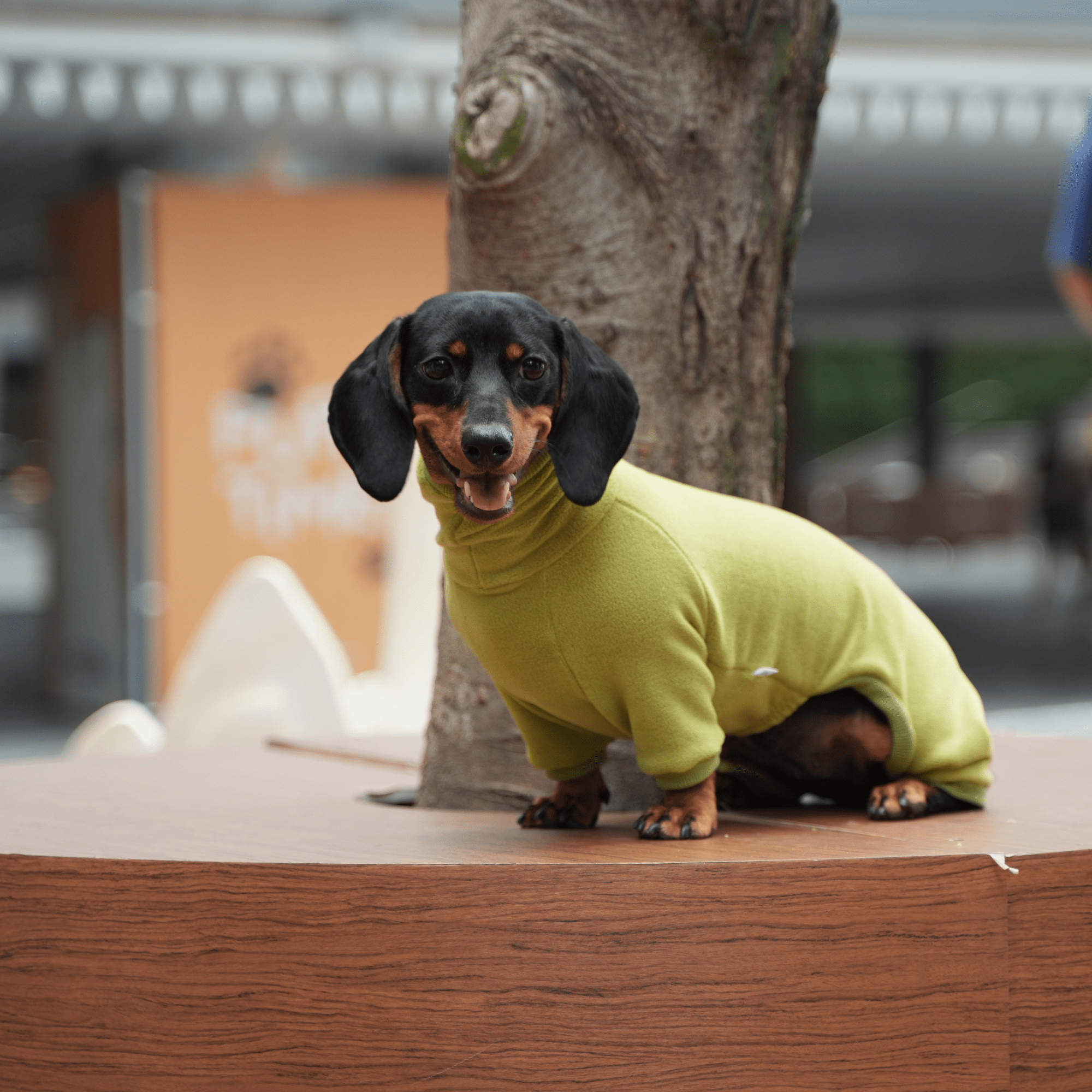 Warm Fleece Dachshund Dog Onesies
