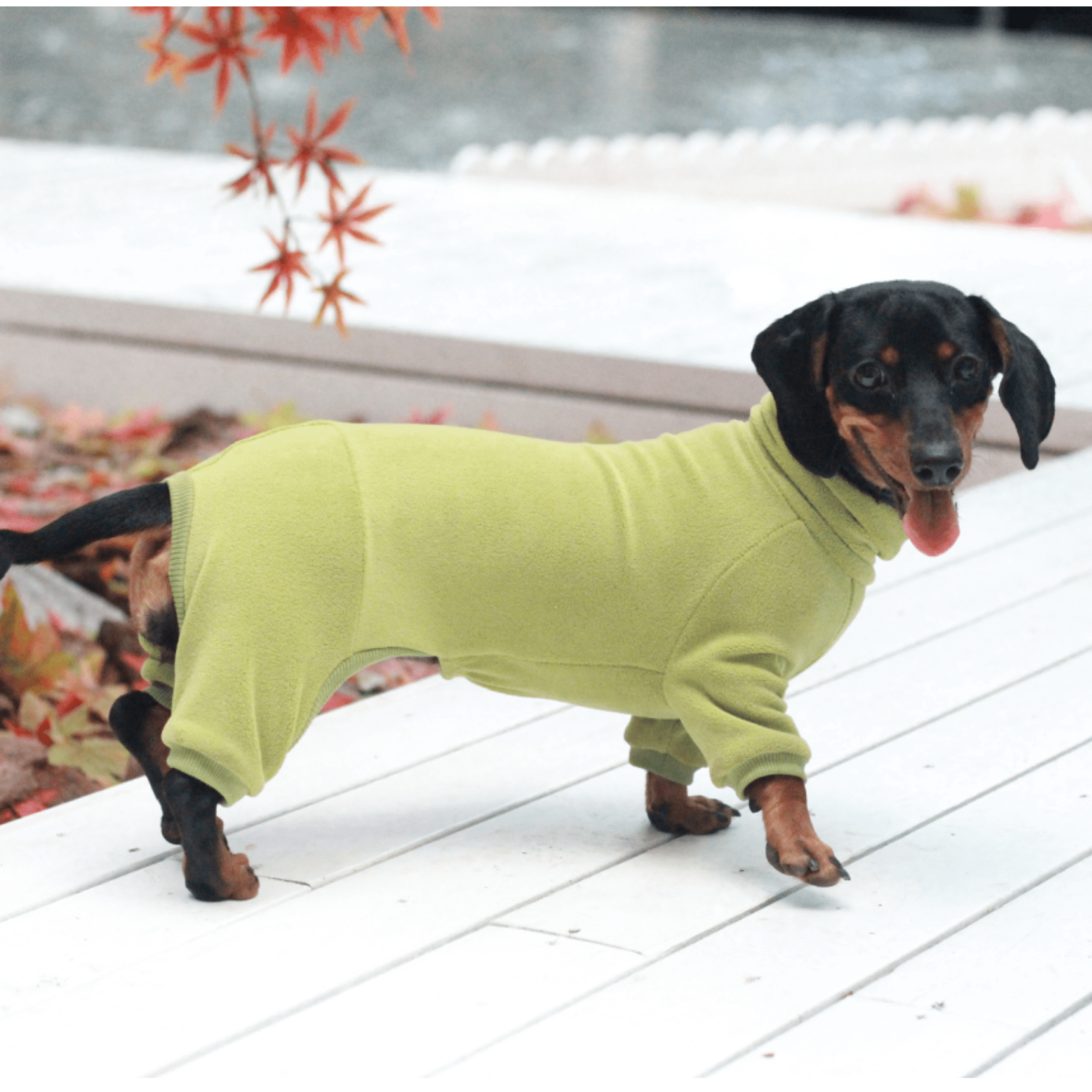 Warm Fleece Dachshund Dog Onesies