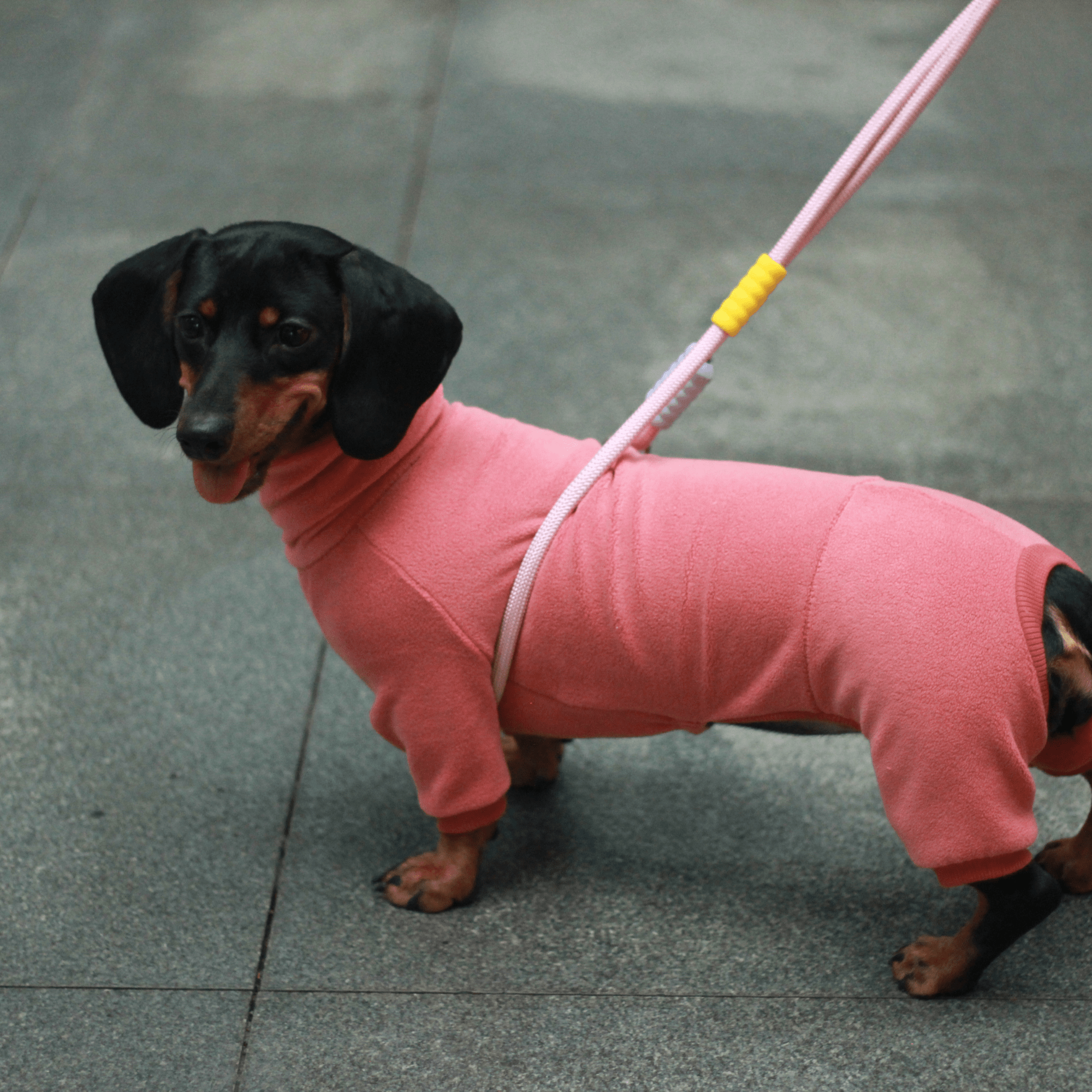 Warm Cozy Dachshund Dog Onesies