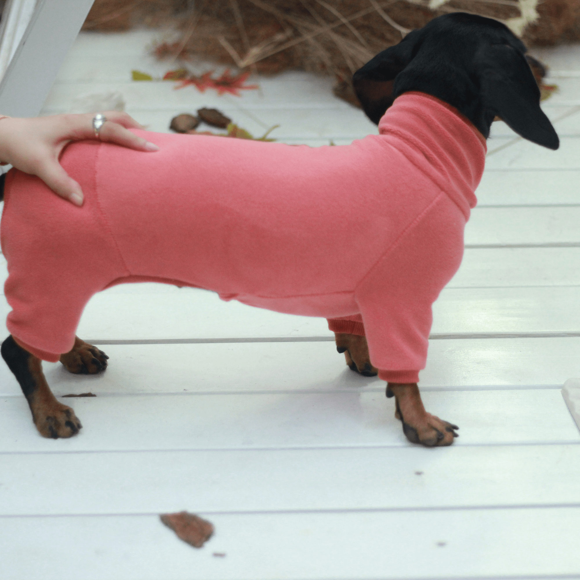 Warm Cozy Dachshund Dog Onesies