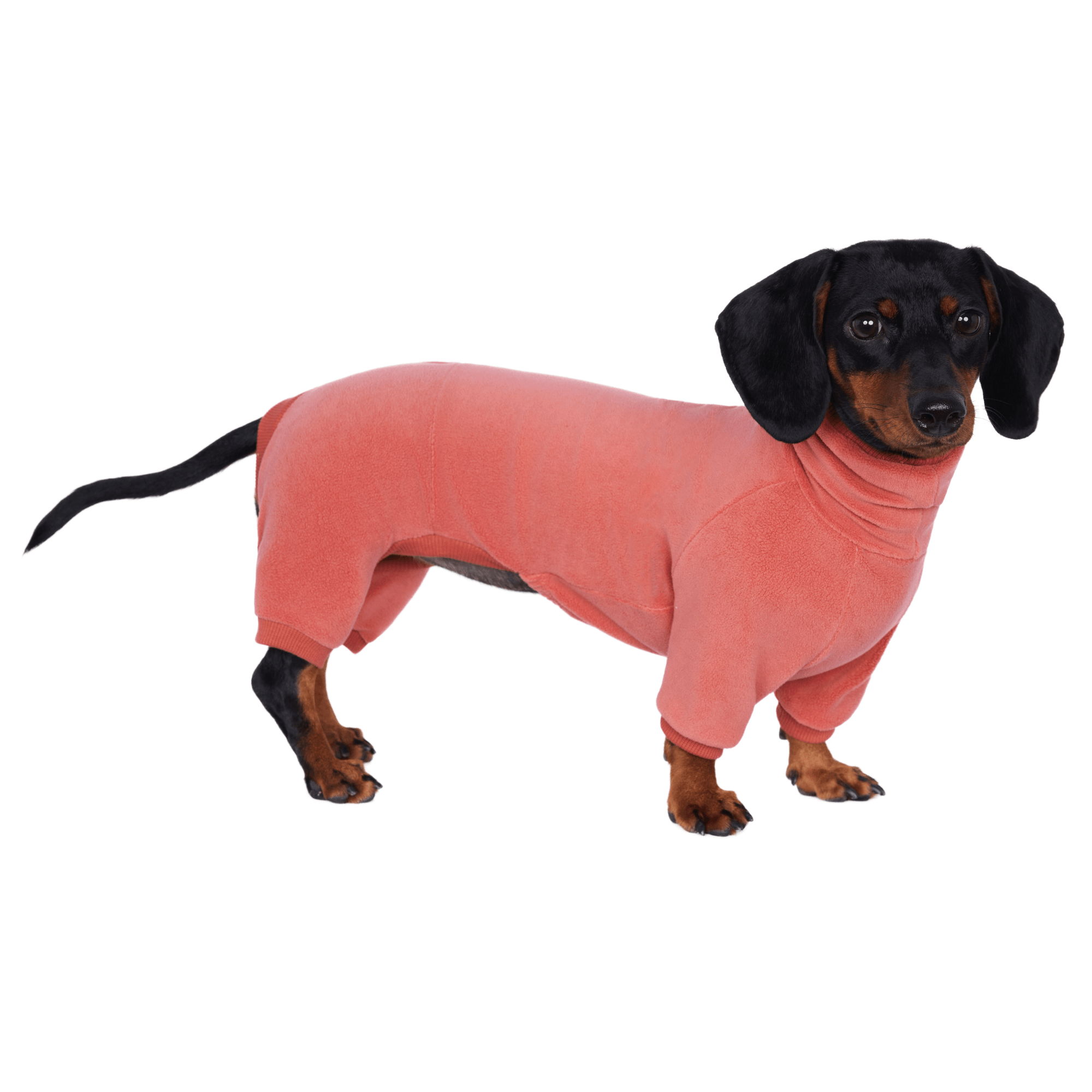 Warm Cozy Dachshund Dog Onesies