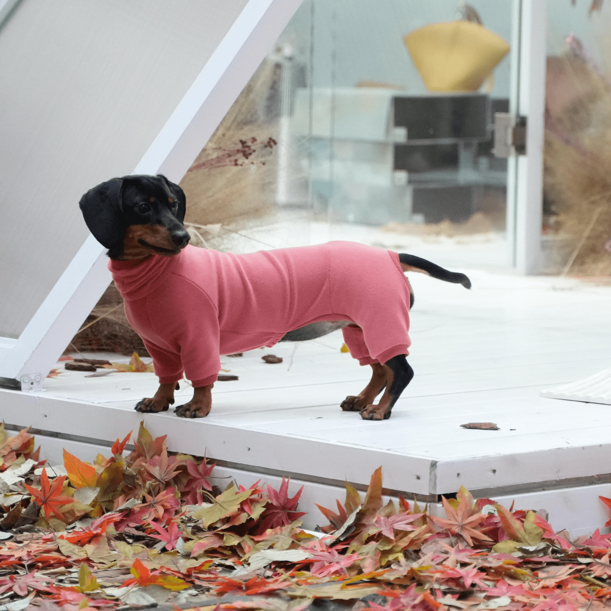 Warm Cozy Dachshund Dog Onesies