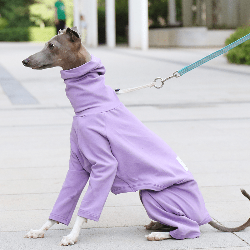 Soft Cotton Dog Onesies Italian Greyhound Pajamas