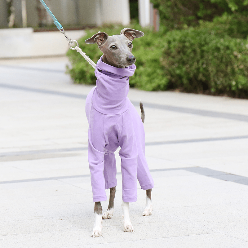 Soft Cotton Dog Onesies Italian Greyhound Pajamas
