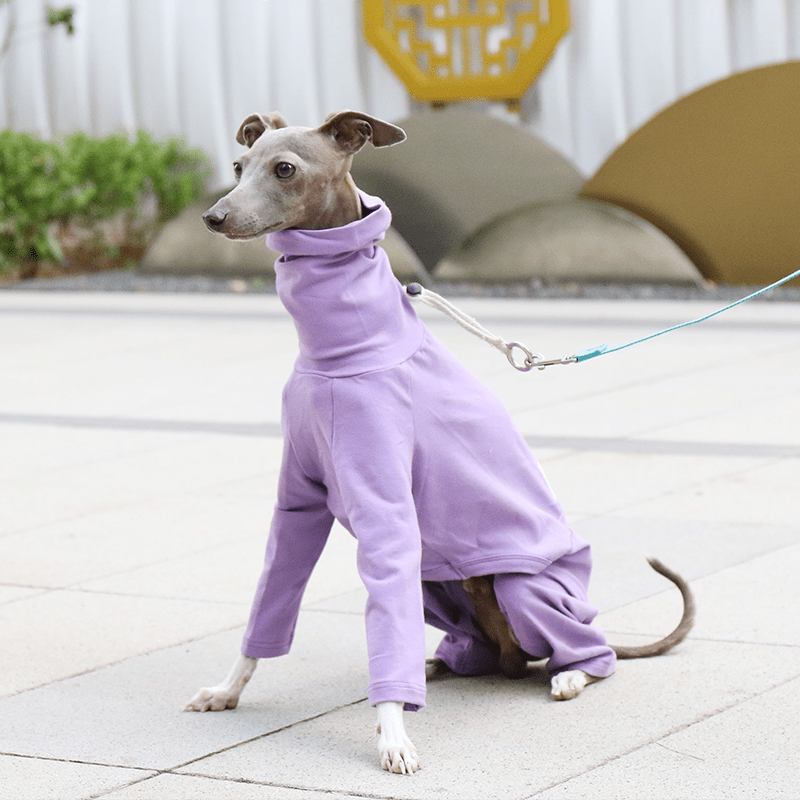 Soft Cotton Dog Onesies Italian Greyhound Pajamas